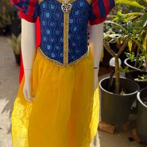 Disney Snow White Costume - Red, Blue, Yellow